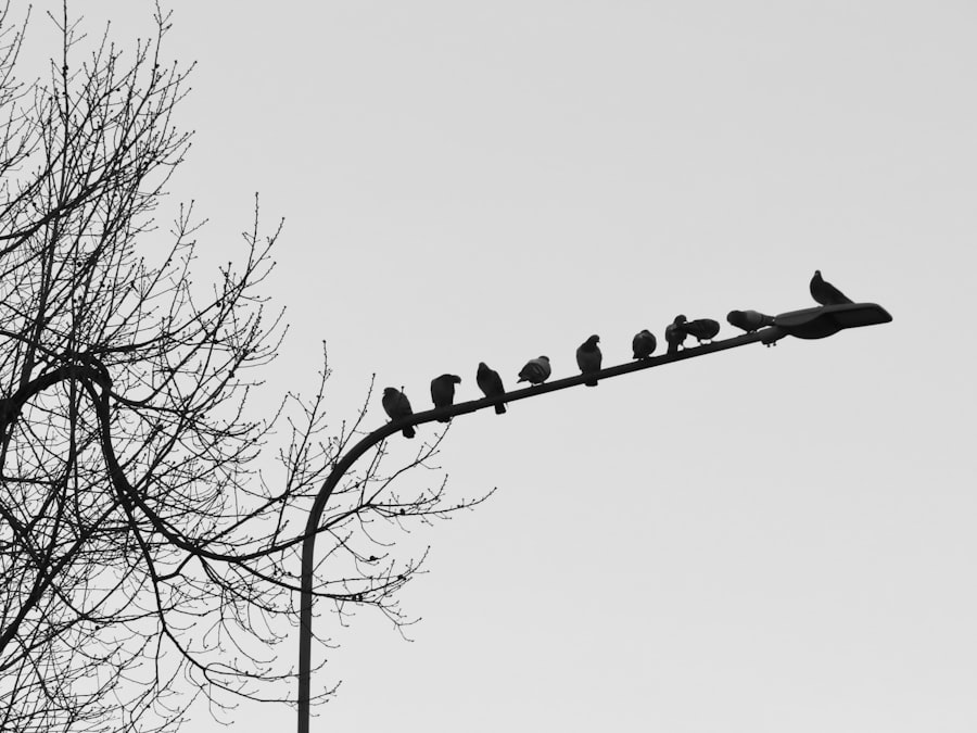 Social Engineering