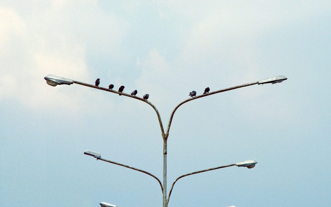 Photo Social Engineering