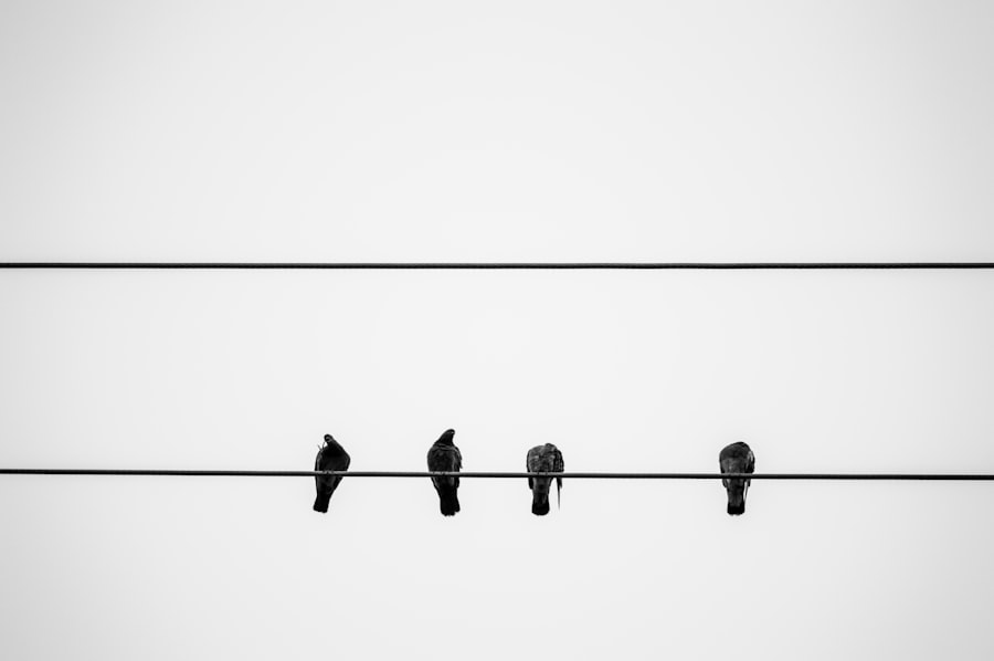 Photo Social Engineering